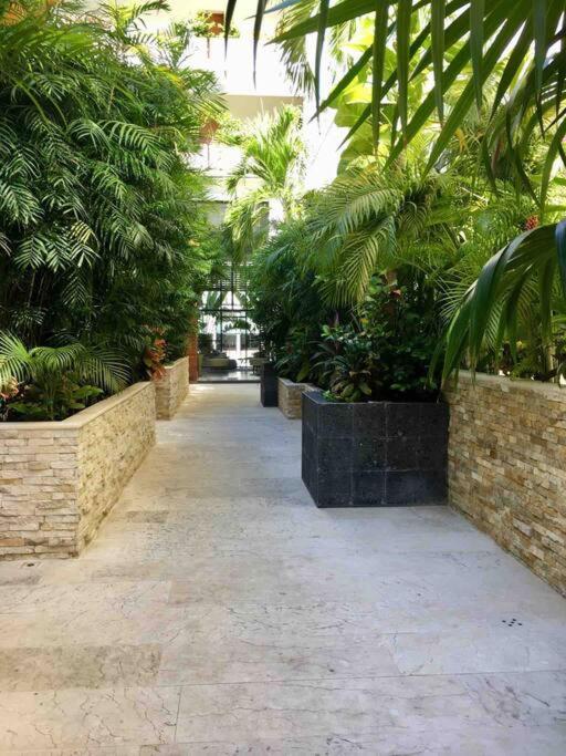 Your Exclusive Studio In The City - Top Amenities & Services For Free!! Playa del Carmen Eksteriør billede
