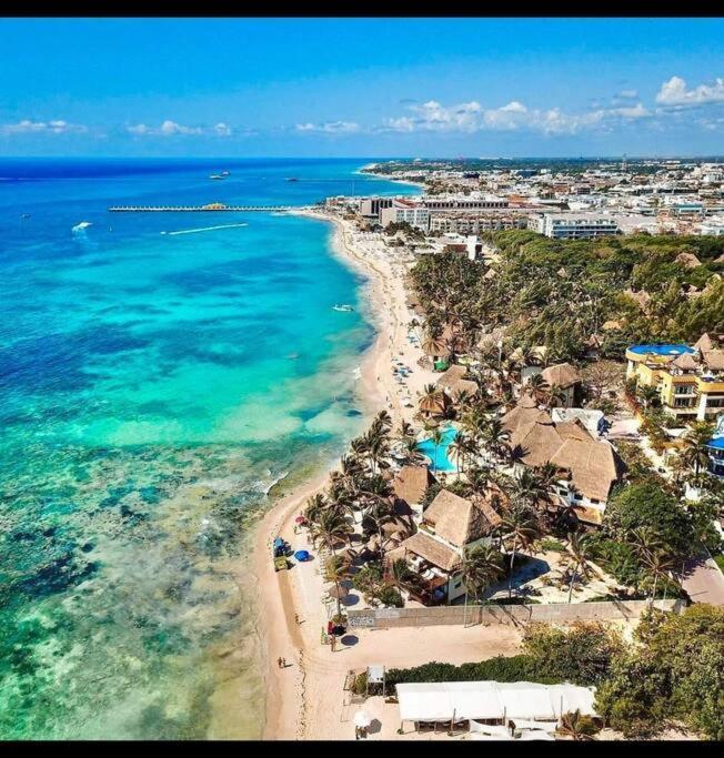 Your Exclusive Studio In The City - Top Amenities & Services For Free!! Playa del Carmen Eksteriør billede